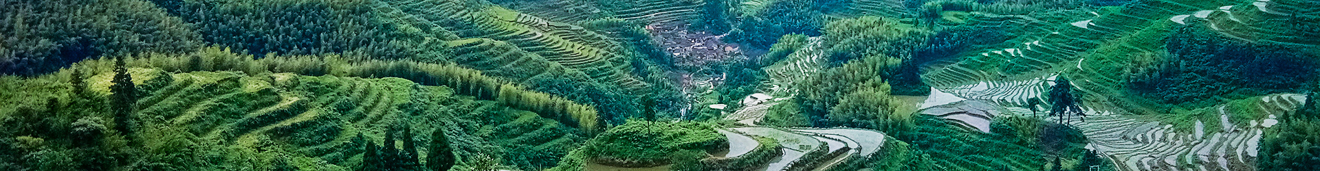 田園綜合體產(chǎn)業(yè)結(jié)構(gòu)及理念